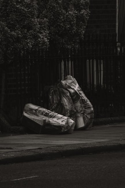A black wheeled rubbish bin positioned on a sidewalk beside a street at night, with the label 'St. John's' visible on the front. The open lid reveals discarded cardboard, paper, and plastic waste piled inside, some edges slightly crumpled or folded. The bin is situated on a paved area adjacent to a curb, with a row of dense, dark foliage and trees lining the background. Streetlights cast a warm, diffuse glow over the scene, creating soft shadows on the pavement and highlighting the textures of the waste and container. In the distance, additional street lighting and faint vehicle or pedestrian activity may be observed, indicating an urban environment. This setup suggests an instance of private or alternative waste collection, as handled by waste management services such as Waste Clearance Knightsbridge, operating beyond standard municipal rubbish removal. The scene underscores the importance of proper waste storage and disposal, especially for nighttime collection or curbside service in residential or commercial areas.